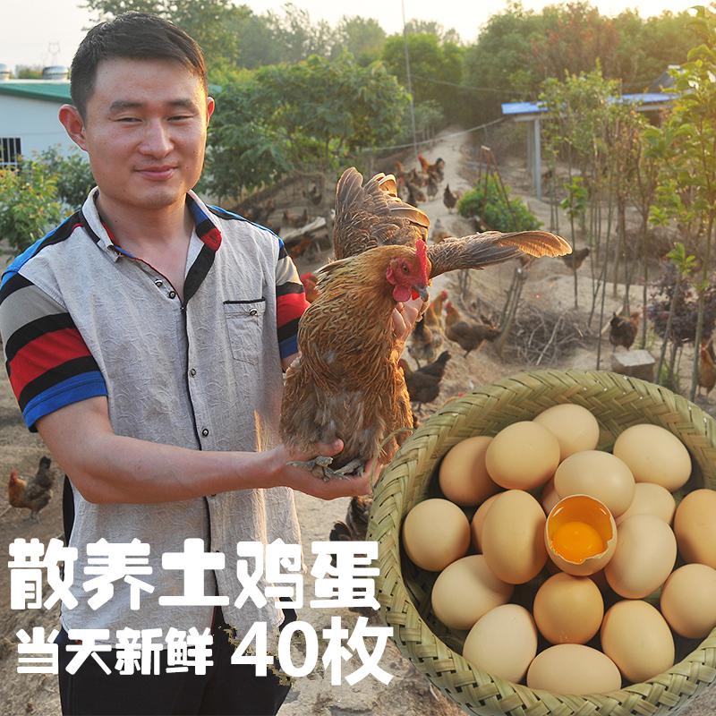 农家土鸡蛋30枚40枚包邮❤散养新鲜草鸡蛋【土鸡蛋包邮】